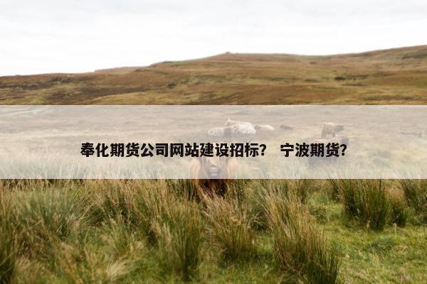 奉化期货公司网站建设招标？ 宁波期货？