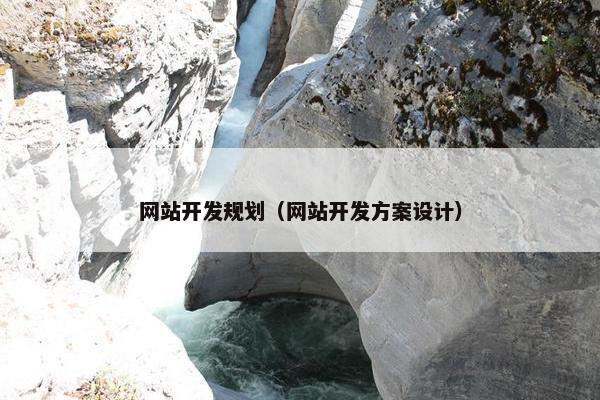 网站开发规划（网站开发方案设计）