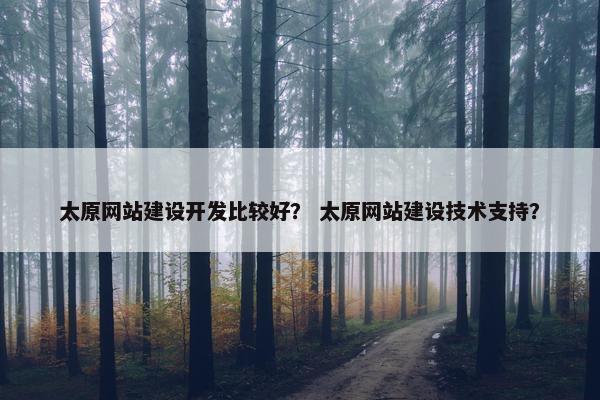 太原网站建设开发比较好？ 太原网站建设技术支持？