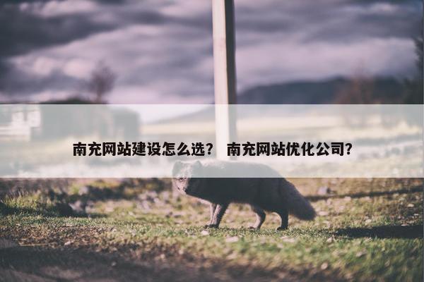 南充网站建设怎么选？ 南充网站优化公司？