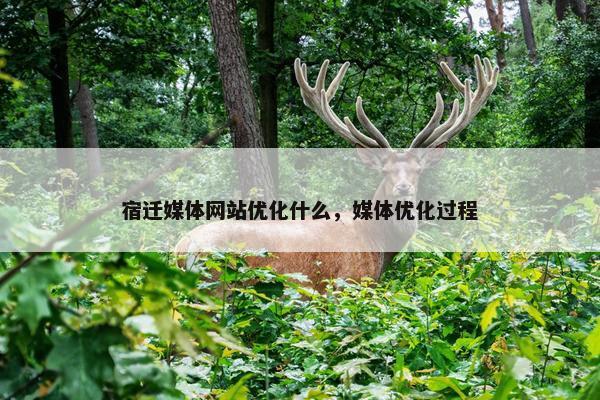 宿迁媒体网站优化什么，媒体优化过程