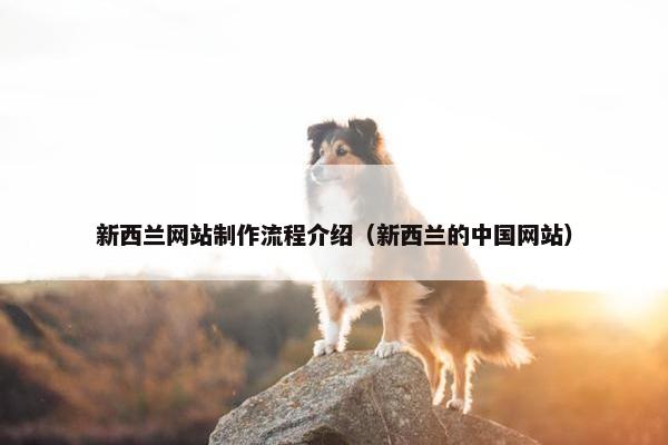 新西兰网站制作流程介绍（新西兰的中国网站）