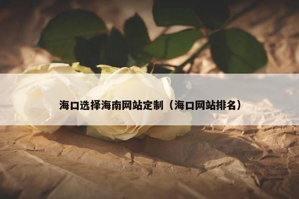 海口选择海南网站定制（海口网站排名）