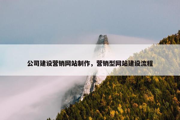 公司建设营销网站制作，营销型网站建设流程