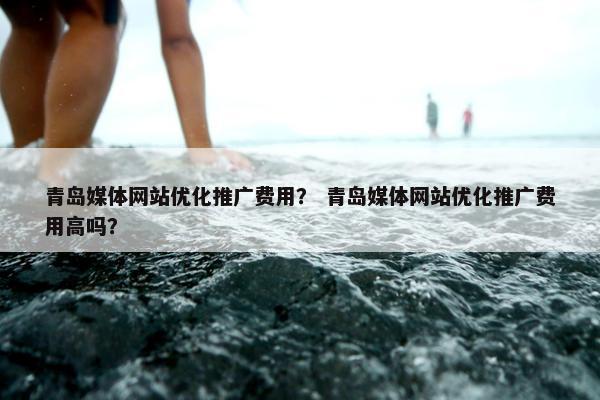 青岛媒体网站优化推广费用？ 青岛媒体网站优化推广费用高吗？