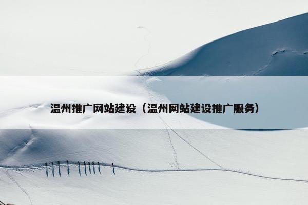 温州推广网站建设（温州网站建设推广服务）