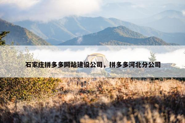 石家庄拼多多网站建设公司，拼多多河北分公司