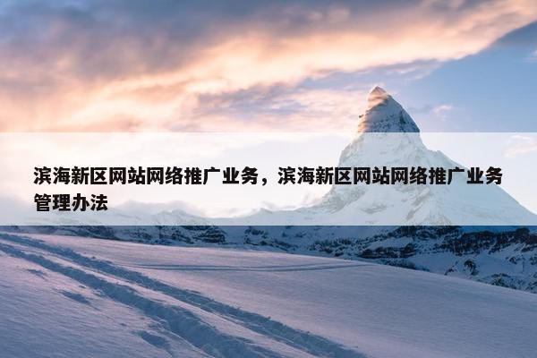 滨海新区网站网络推广业务，滨海新区网站网络推广业务管理办法