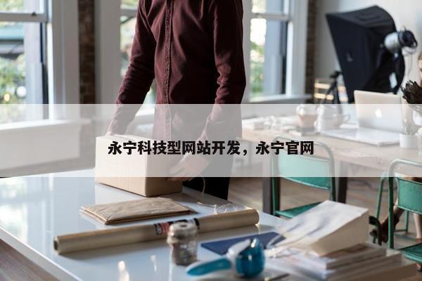 永宁科技型网站开发，永宁官网