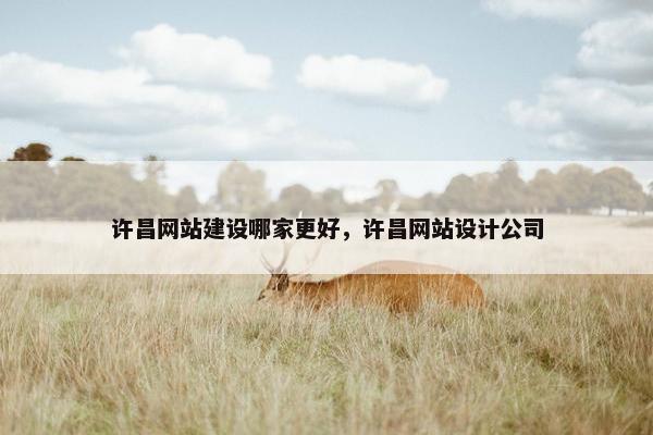 许昌网站建设哪家更好，许昌网站设计公司