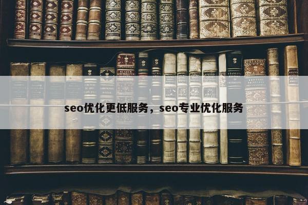 seo优化更低服务，seo专业优化服务