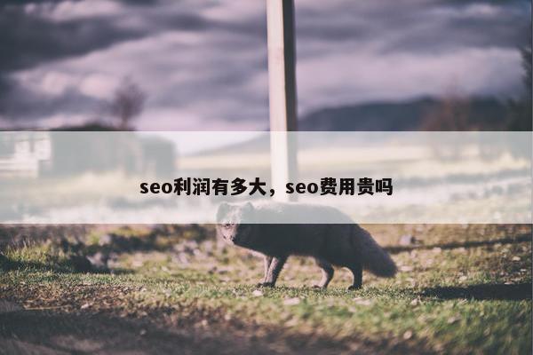 seo利润有多大，seo费用贵吗