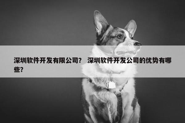 深圳软件开发有限公司？ 深圳软件开发公司的优势有哪些？
