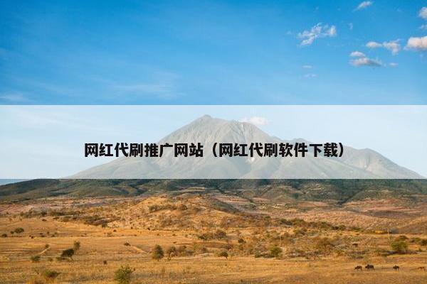 网红代刷推广网站（网红代刷软件下载）