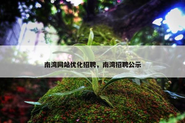 南湾网站优化招聘，南湾招聘公示