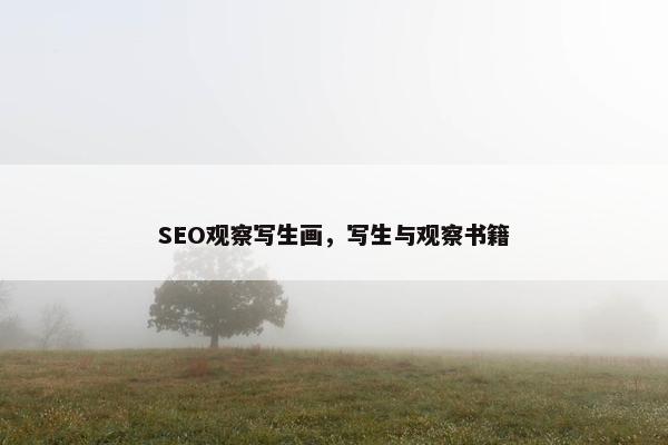 SEO观察写生画，写生与观察书籍