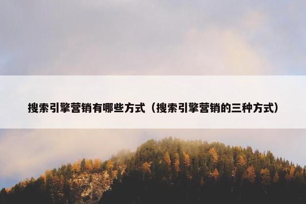 搜索引擎营销有哪些方式（搜索引擎营销的三种方式）