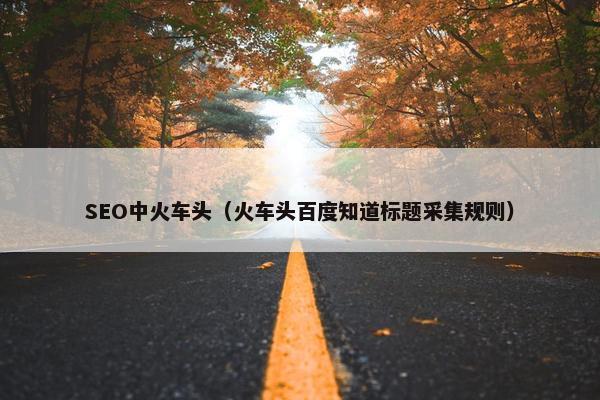 SEO中火车头（火车头百度知道标题采集规则）