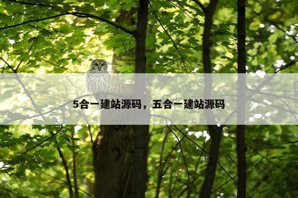5合一建站源码，五合一建站源码