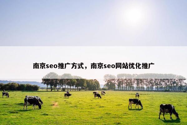 南京seo推广方式，南京seo网站优化推广