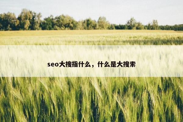 seo大搜指什么，什么是大搜索