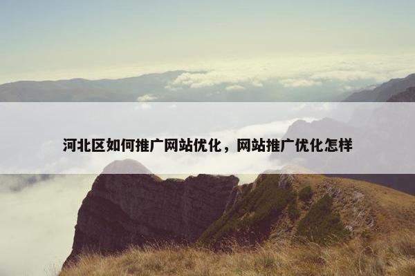 河北区如何推广网站优化，网站推广优化怎样