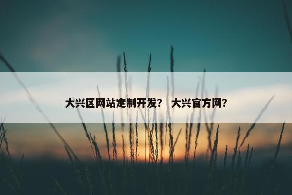 大兴区网站定制开发？ 大兴官方网？