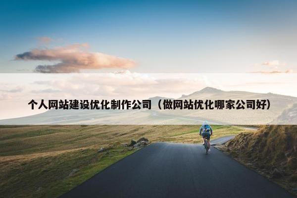 个人网站建设优化制作公司（做网站优化哪家公司好）