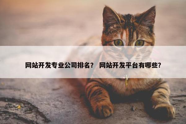 网站开发专业公司排名？ 网站开发平台有哪些？