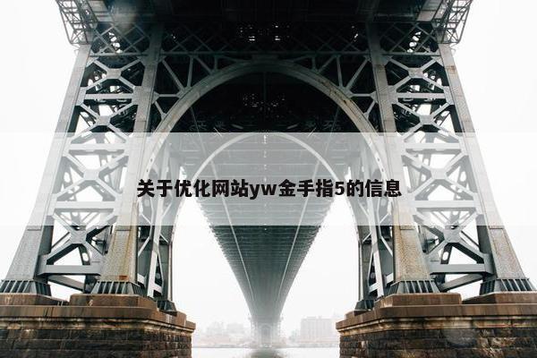 关于优化网站yw金手指5的信息