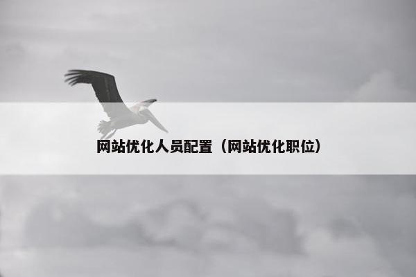 网站优化人员配置（网站优化职位）