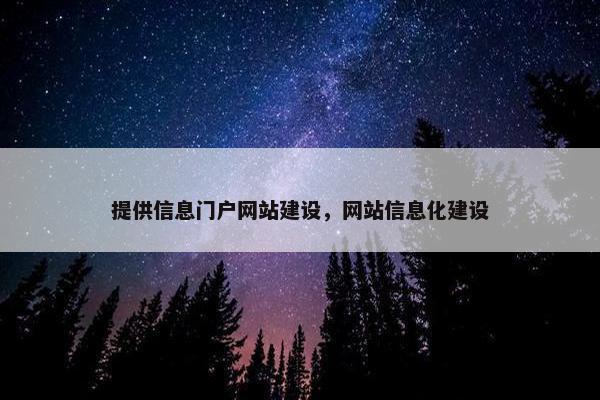 提供信息门户网站建设，网站信息化建设