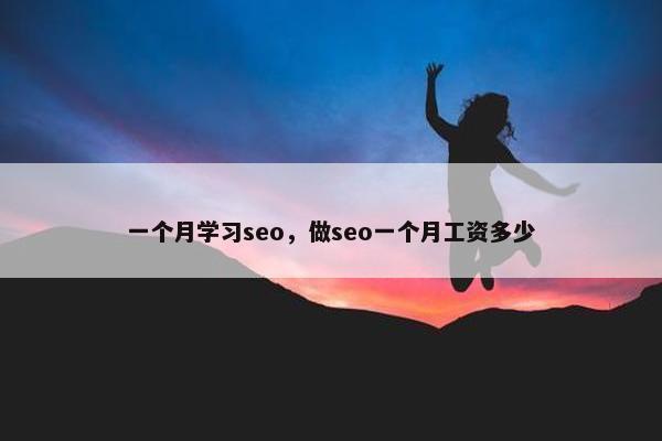 一个月学习seo，做seo一个月工资多少