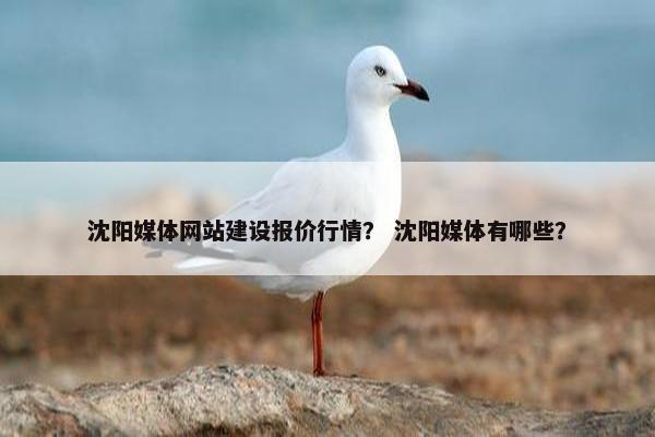 沈阳媒体网站建设报价行情？ 沈阳媒体有哪些？