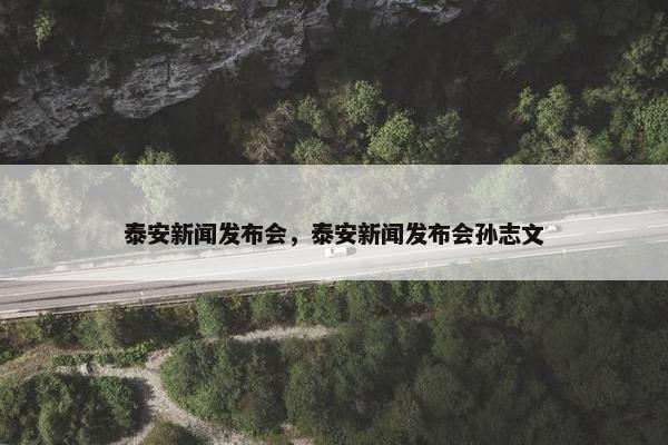 泰安新闻发布会，泰安新闻发布会孙志文