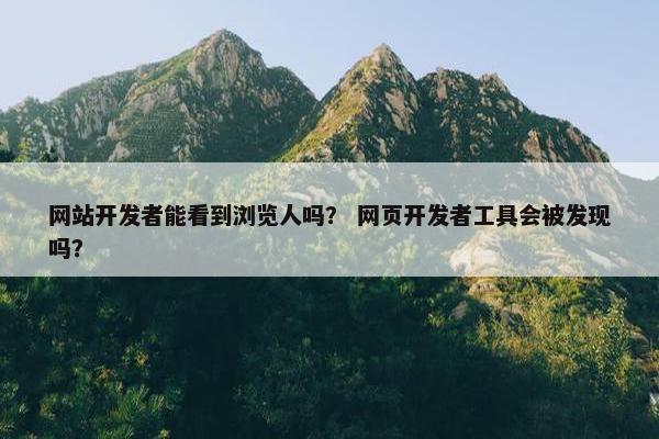网站开发者能看到浏览人吗？ 网页开发者工具会被发现吗？