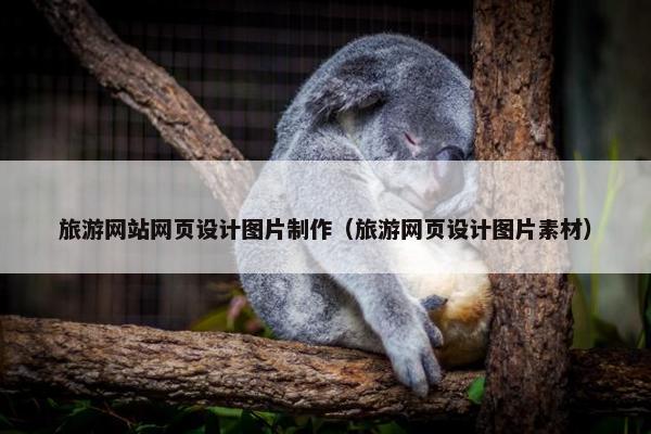 旅游网站网页设计图片制作（旅游网页设计图片素材）