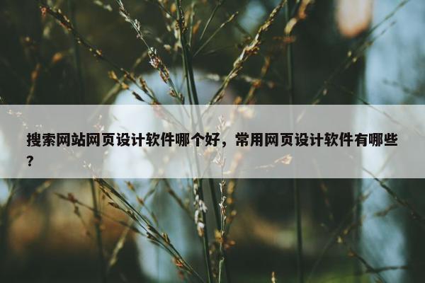 搜索网站网页设计软件哪个好，常用网页设计软件有哪些?