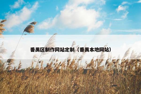番禺区制作网站定制（番禺本地网站）