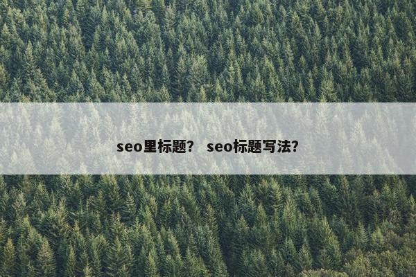 seo里标题？ seo标题写法？