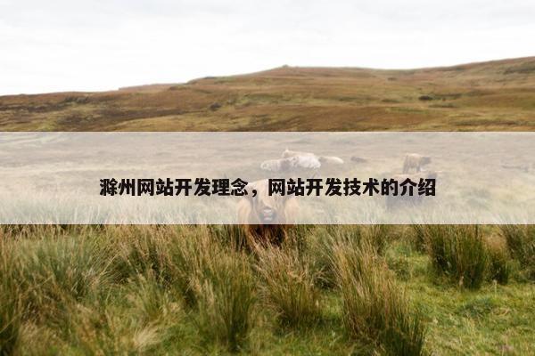 滁州网站开发理念，网站开发技术的介绍