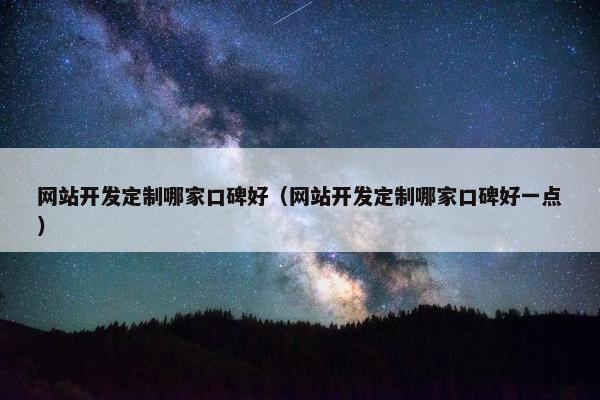 网站开发定制哪家口碑好（网站开发定制哪家口碑好一点）