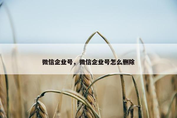 微信企业号，微信企业号怎么删除
