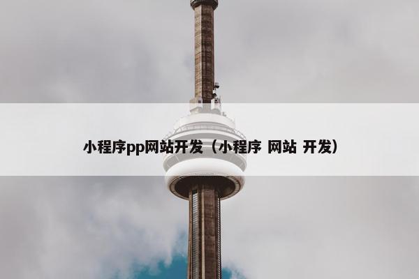 小程序pp网站开发（小程序 网站 开发）