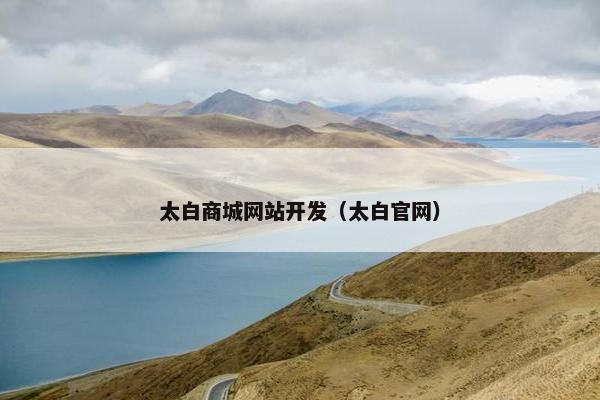 太白商城网站开发（太白官网）