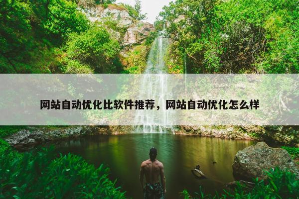 网站自动优化比软件推荐，网站自动优化怎么样