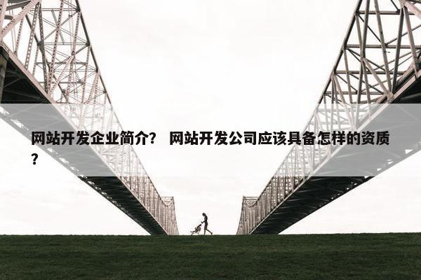 网站开发企业简介？ 网站开发公司应该具备怎样的资质？