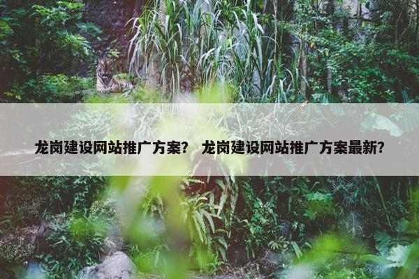 龙岗建设网站推广方案？ 龙岗建设网站推广方案最新？
