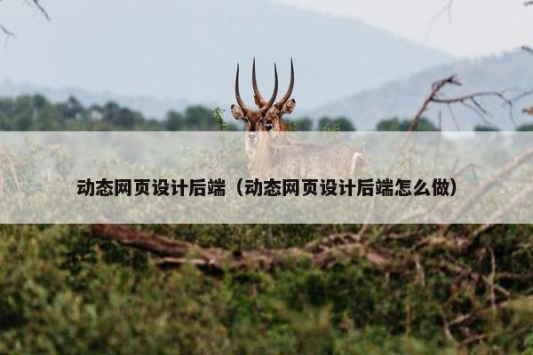 动态网页设计后端（动态网页设计后端怎么做）