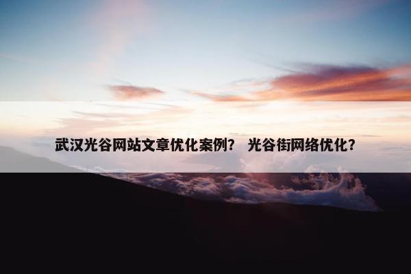 武汉光谷网站文章优化案例？ 光谷街网络优化？